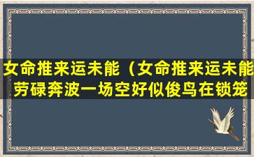 女命推来运未能（女命推来运未能 劳碌奔波一场空好似俊鸟在锁笼怎么破）